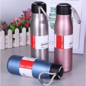 SS Vacuum Insulated Bottle 500ml